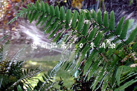 逾期记录10年消除 逾期记录10年消除