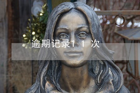 逾期记录11次 逾期记录11次