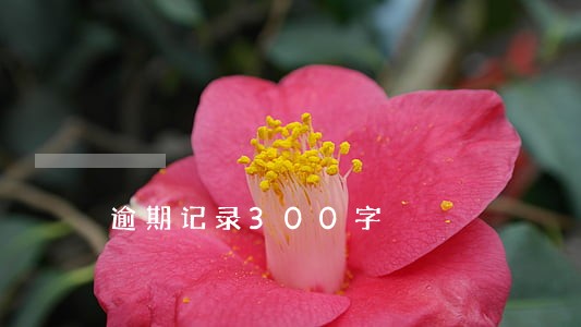 逾期记录300字 逾期记录300字