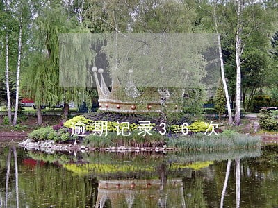 逾期记录36次 逾期记录36次