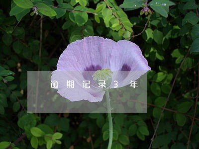 逾期记录3年 逾期记录3年