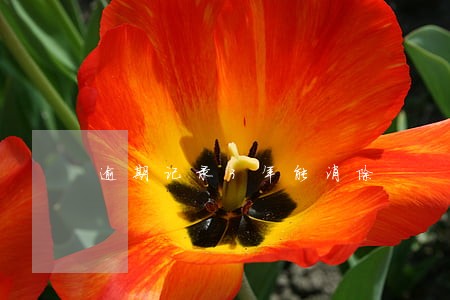 逾期记录3年能消除 逾期记录3年能消除