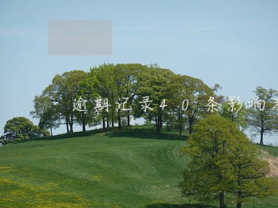 逾期记录40条影响考公务员吗 逾期记录40条影响考公务员吗