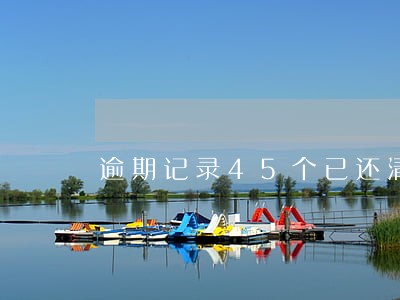 逾期记录45个已还清房贷