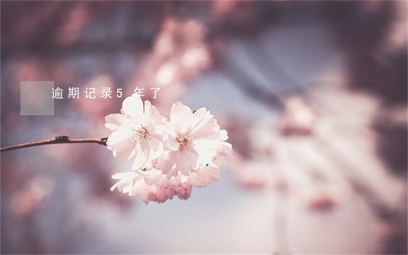 逾期记录5年了 逾期记录5年了