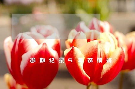 逾期记录5年可消除