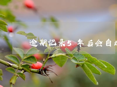 逾期记录5年后会自动消除吗 逾期记录5年后会自动消除吗