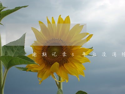 逾期记录5年后没消除 逾期记录5年后没消除