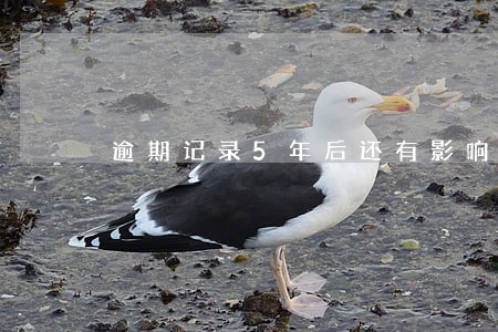 逾期记录5年后还有影响吗 逾期记录5年后还有影响吗