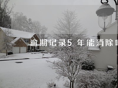 逾期记录5年能消除吗 逾期记录5年能消除吗