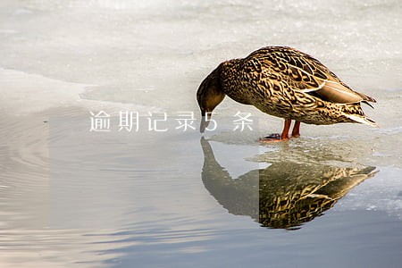 逾期记录5条 逾期记录5条