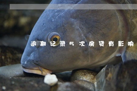 逾期记录5次房贷有影响吗 逾期记录5次房贷有影响吗