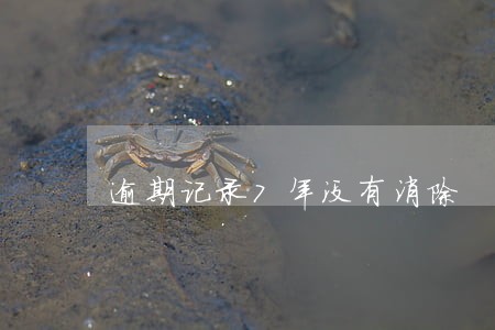 逾期记录7年没有消除