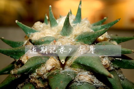 逾期记录9个月 逾期记录9个月