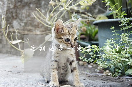 逾期记录一定要5年才能消除吗 逾期记录一定要5年才能消除吗