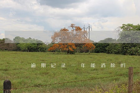 逾期记录一年能消除吗 逾期记录一年能消除吗