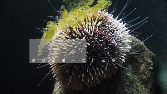 逾期记录一次什么意思 逾期记录一次什么意思