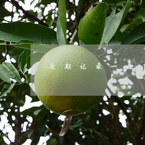 逾期记录一般多久可以消除 逾期记录一般多久可以消除