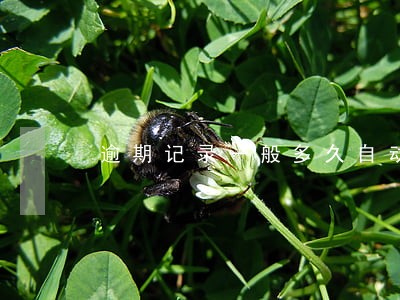 逾期记录一般多久自动消除 逾期记录一般多久自动消除