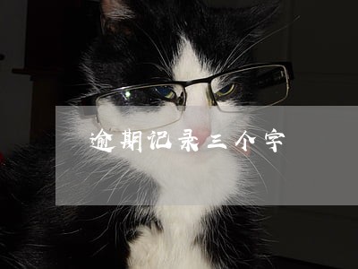 逾期记录三个字