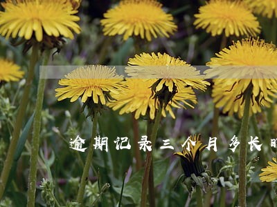 逾期记录三个月多长时间能消除 逾期记录三个月多长时间能消除