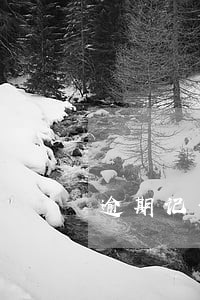 逾期记录上了征信能不能坐高铁 逾期记录上了征信能不能坐高铁