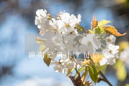 逾期记录上了征信能消除么 逾期记录上了征信能消除么