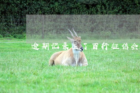 逾期记录上了百行征信会怎么样 逾期记录上了百行征信会怎么样