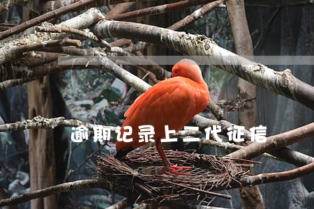 逾期记录上二代征信 逾期记录上二代征信