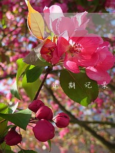 逾期记录上人民征信 逾期记录上人民征信