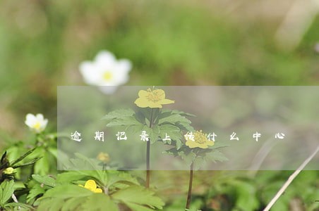 逾期记录上传什么中心 逾期记录上传什么中心
