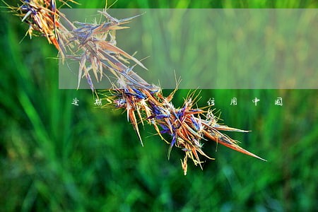 逾期记录上传信用中国 逾期记录上传信用中国