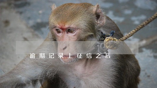 逾期记录上征信之后 逾期记录上征信之后