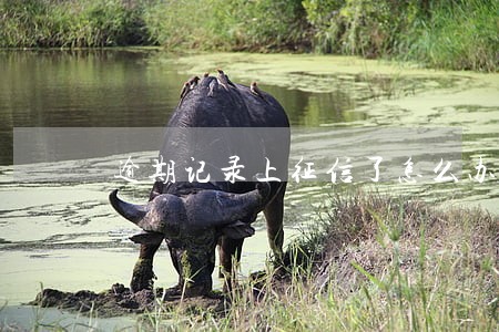 逾期记录上征信了怎么办 逾期记录上征信了怎么办