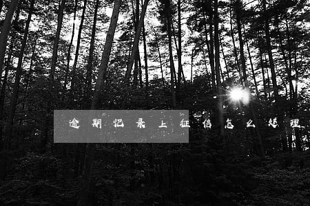 逾期记录上征信怎么处理 逾期记录上征信怎么处理