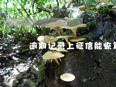 逾期记录上征信能恢复吗 逾期记录上征信能恢复吗