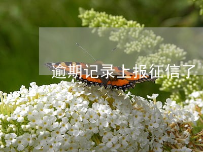逾期记录上报征信了 逾期记录上报征信了