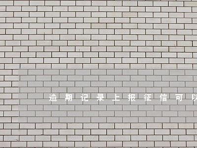 逾期记录上报征信可以撤回吗 逾期记录上报征信可以撤回吗