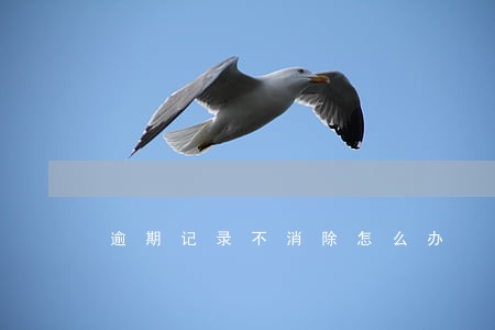 逾期记录不消除怎么办