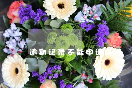 逾期记录不能申请车贷 逾期记录不能申请车贷