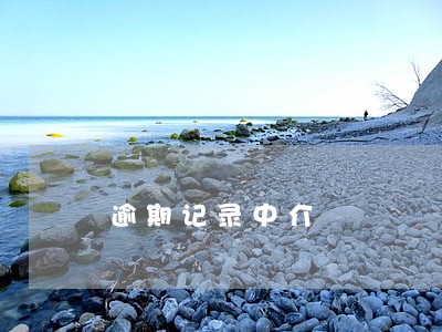 逾期记录中介 逾期记录中介