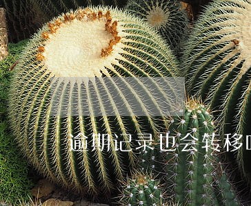 逾期记录也会转移吗