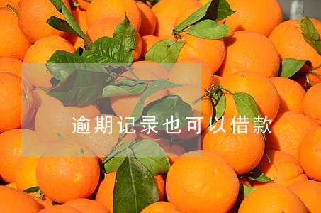 逾期记录也可以借款 逾期记录也可以借款