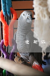 逾期记录也能贷款的平台 逾期记录也能贷款的平台
