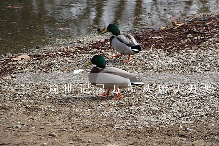 逾期记录五年从那天开始清除 逾期记录五年从那天开始清除