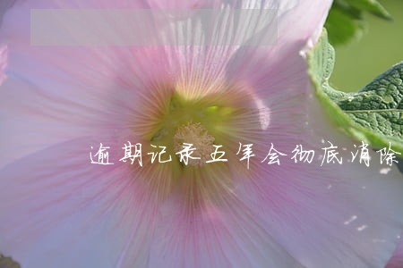 逾期记录五年会彻底消除吗