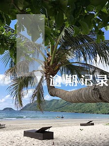 逾期记录五年会消失吗 逾期记录五年会消失吗