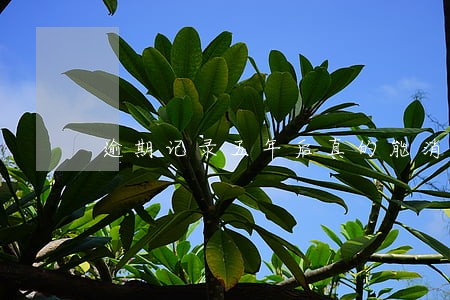 逾期记录五年后真的能消除吗 逾期记录五年后真的能消除吗