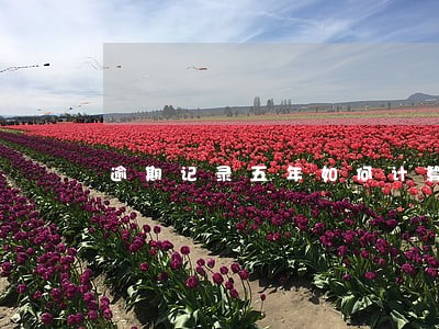 逾期记录五年如何计算 逾期记录五年如何计算