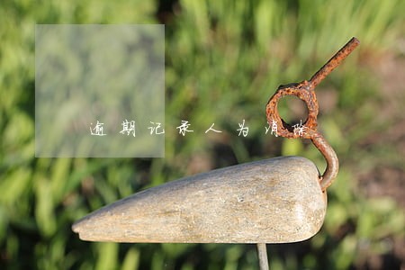 逾期记录人为消除 逾期记录人为消除